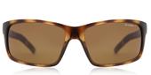 Gafas De Sol Arnette An4202 Fastball Polarized 208783